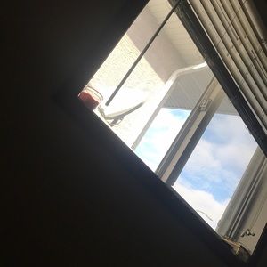 Meet your Posher, Hailey